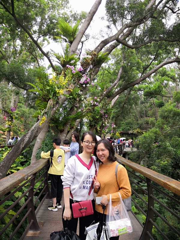 QQ圖片20190404155247