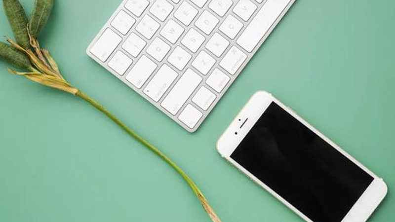 疫情中的蘋果:下調(diào)營收預(yù)期 供應(yīng)鏈復(fù)工難 零售店關(guān)停