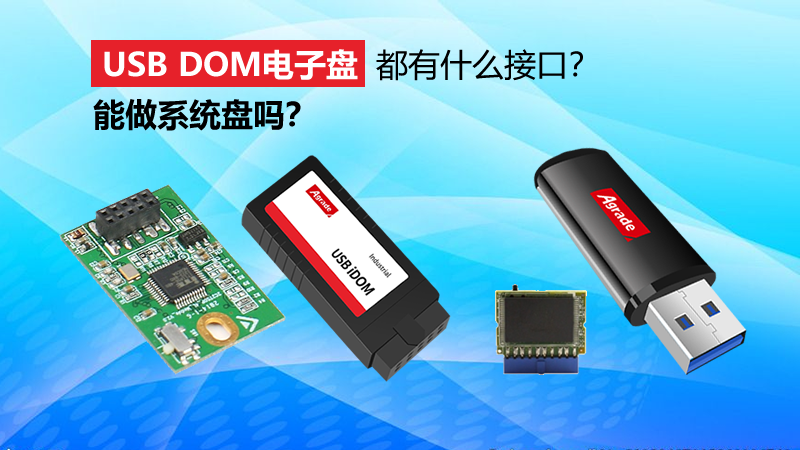 USB DOM電子盤